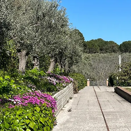Villa Amyra